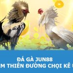 Đá Gà Jun88 – Trải Nghiệm Thiên Đường Chọi Kê Uy Tín 2024