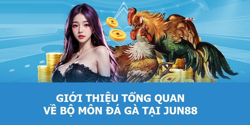 Giới thiệu tổng quan về bộ môn đá gà tại Jun88