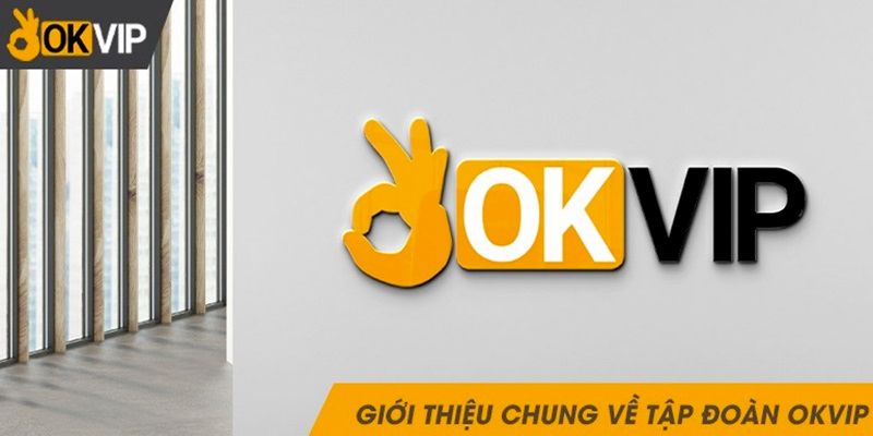 OKVIP: đánh giá và nhận xét từ người dùng