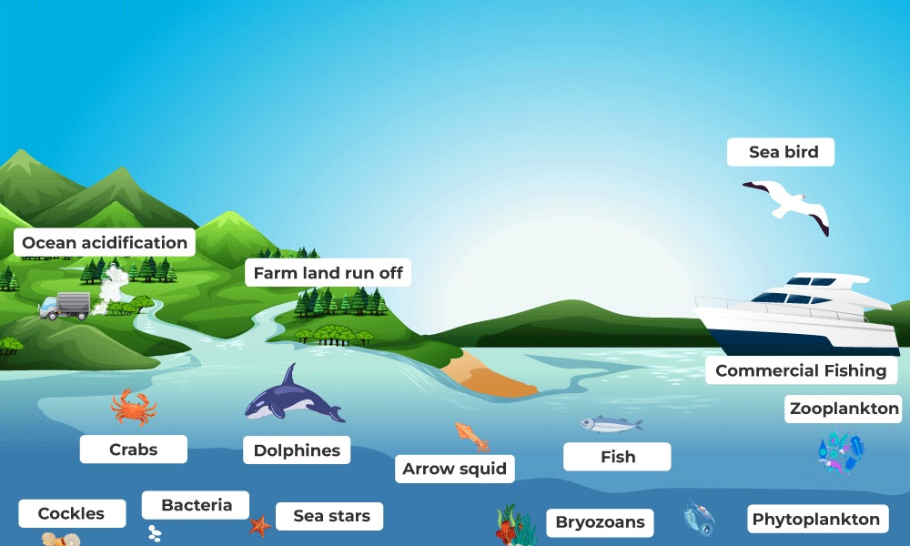 Definition and Characteristics of Ecosystem